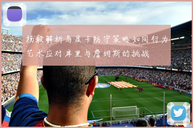 杨毅解析乌度卡防守策略如同行为艺术应对库里与詹姆斯的挑战