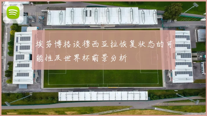 埃芬博格谈穆西亚拉恢复状态的可能性及世界杯前景分析
