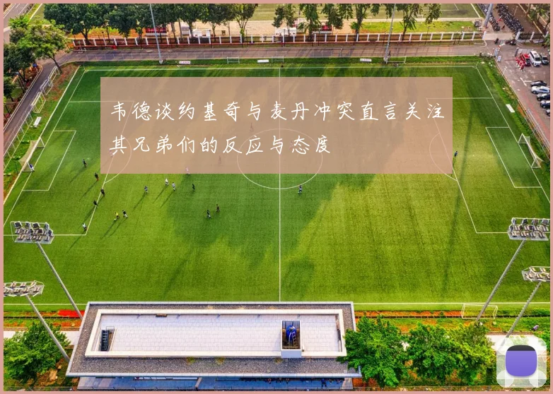 韦德谈约基奇与麦丹冲突直言关注其兄弟们的反应与态度